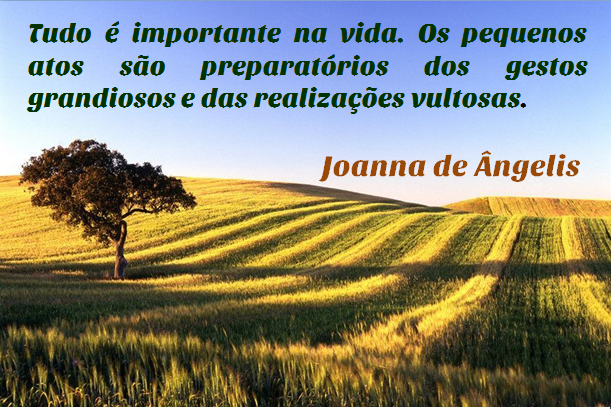 7 - Joanna de Ângelis - 16-10-2016